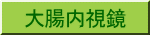 大腸内視鏡検査