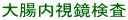 大腸内視鏡検査 